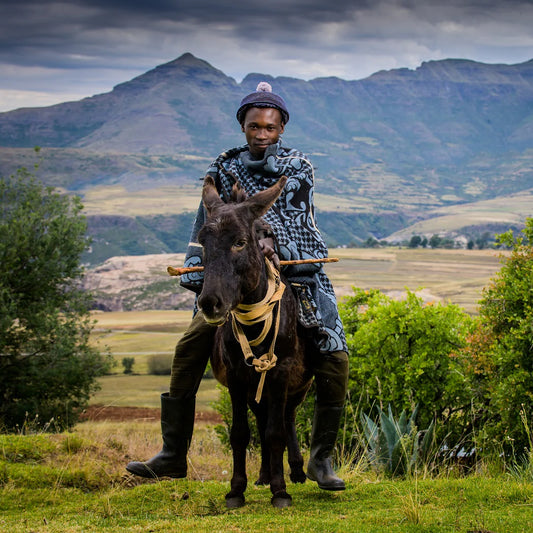 Motlatsi - Khosana | Black / Cobalt / Natural